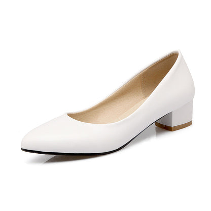 Pointed Toe Chunky Heel Basic Pumps